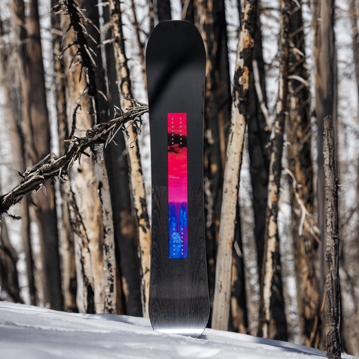 2026 Arbor Rain Snowboard Environment