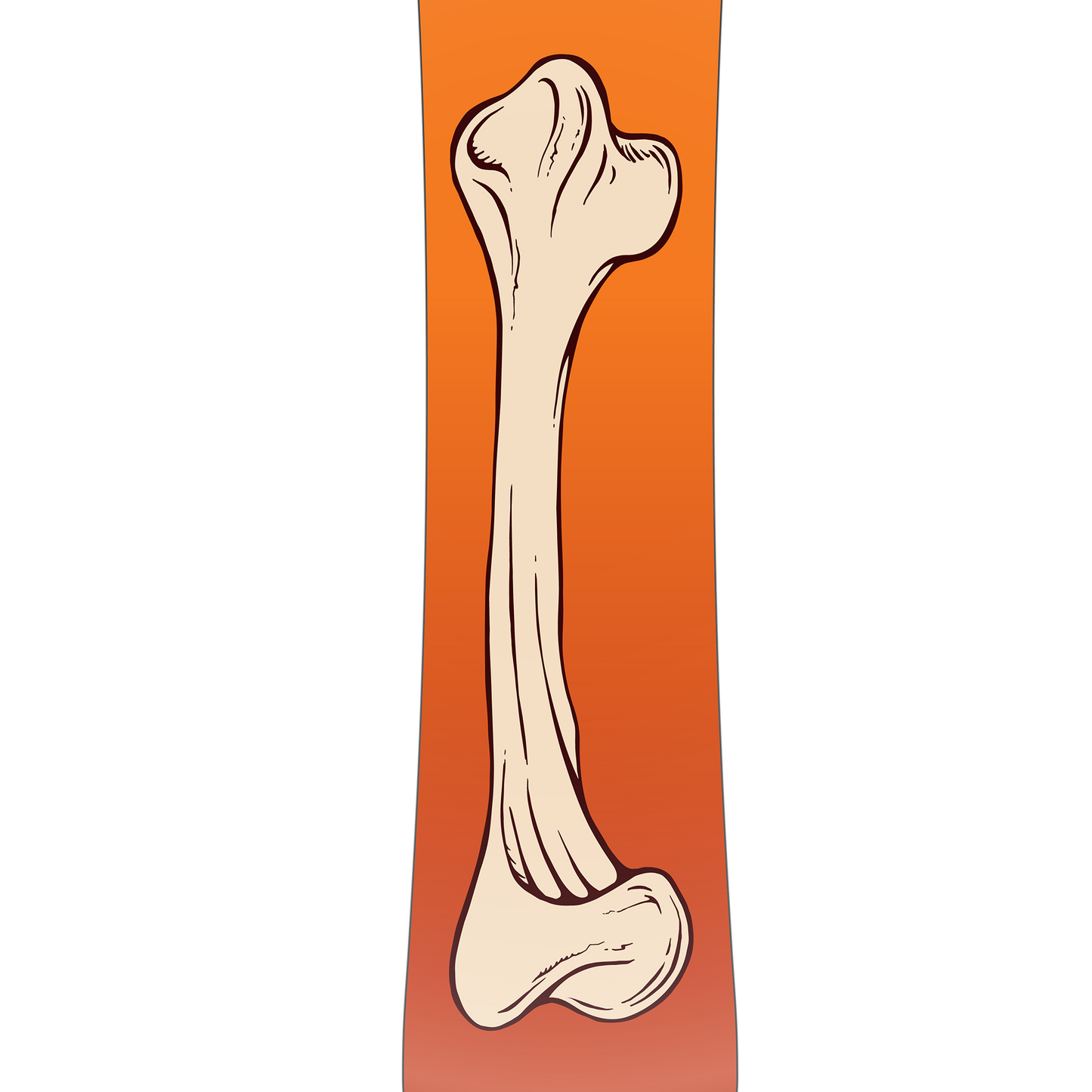 2026 Nidecker Sensor Mons Snowboard