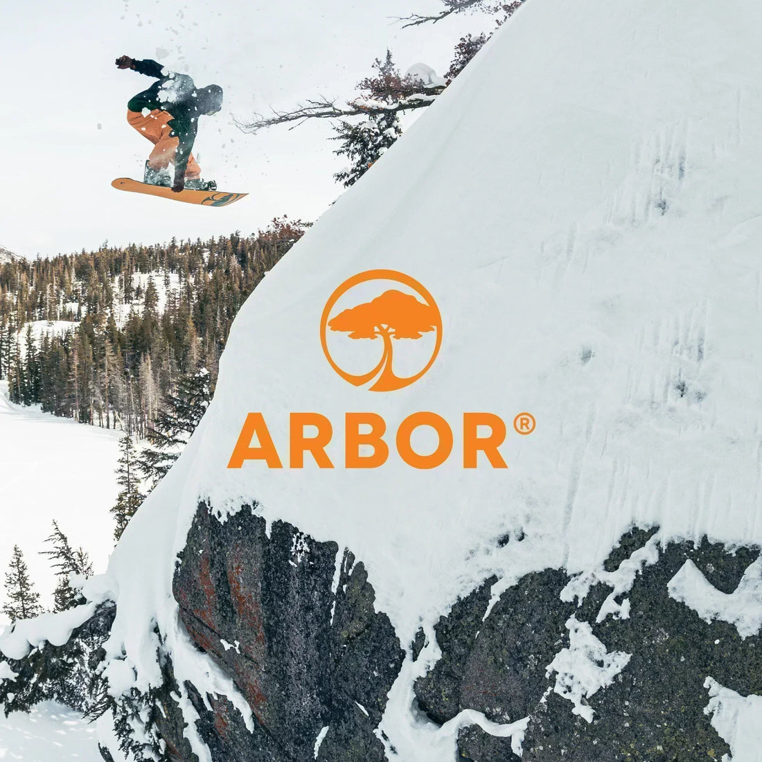 Arbor Snowboards - Built on Purpose, Ridden with Style