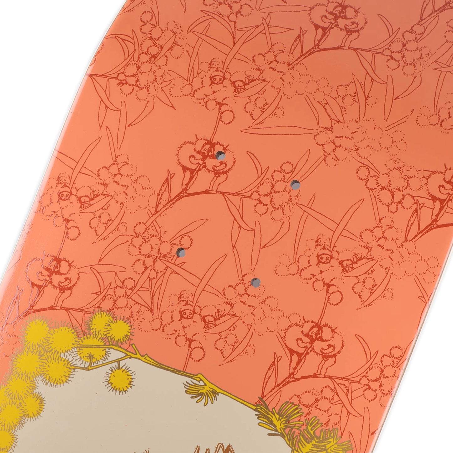 PASS~PORT x May Gibbs Wattle Baby Deck 8.125