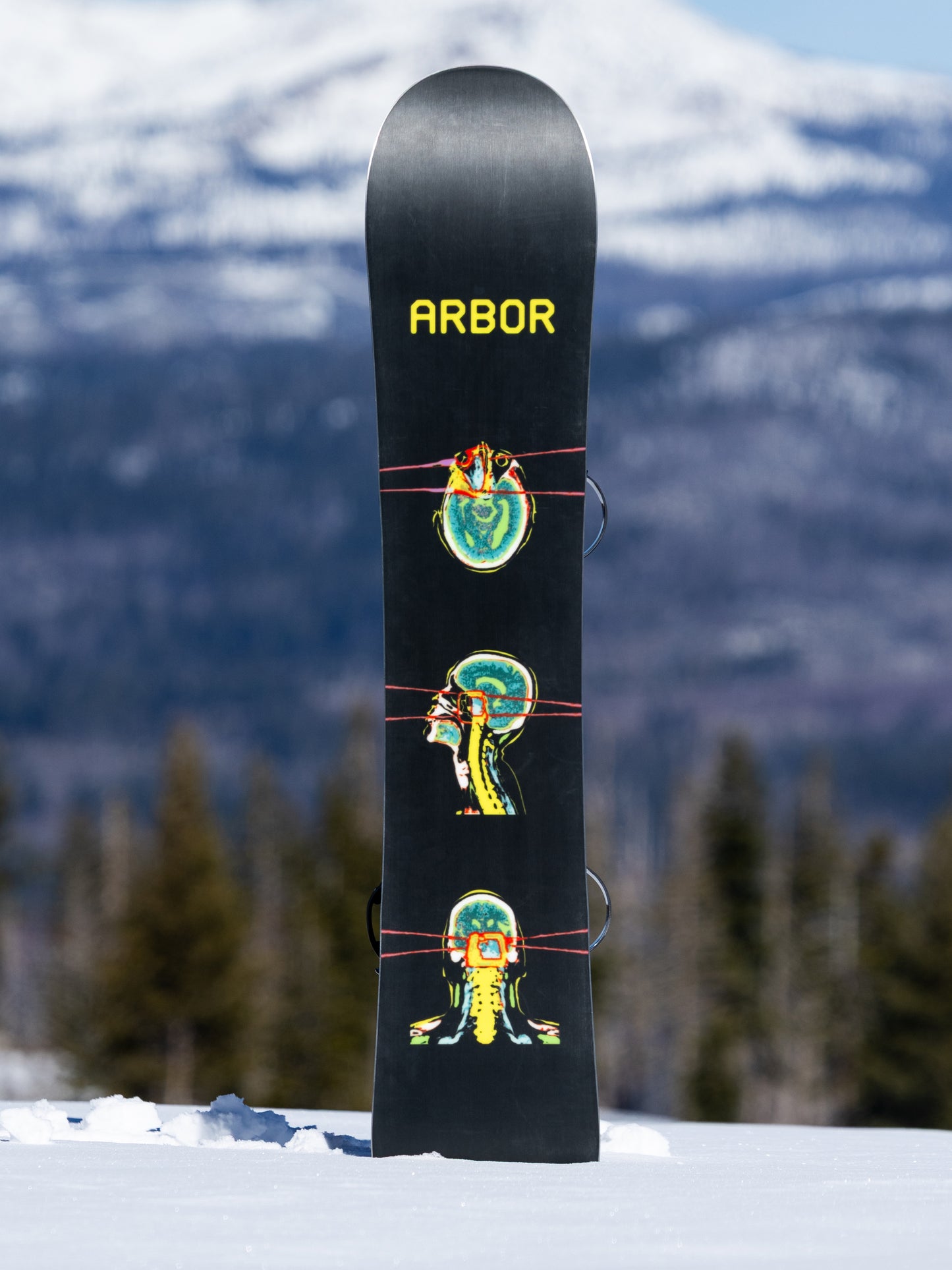 2027 Arbor El Camino Snowboard
