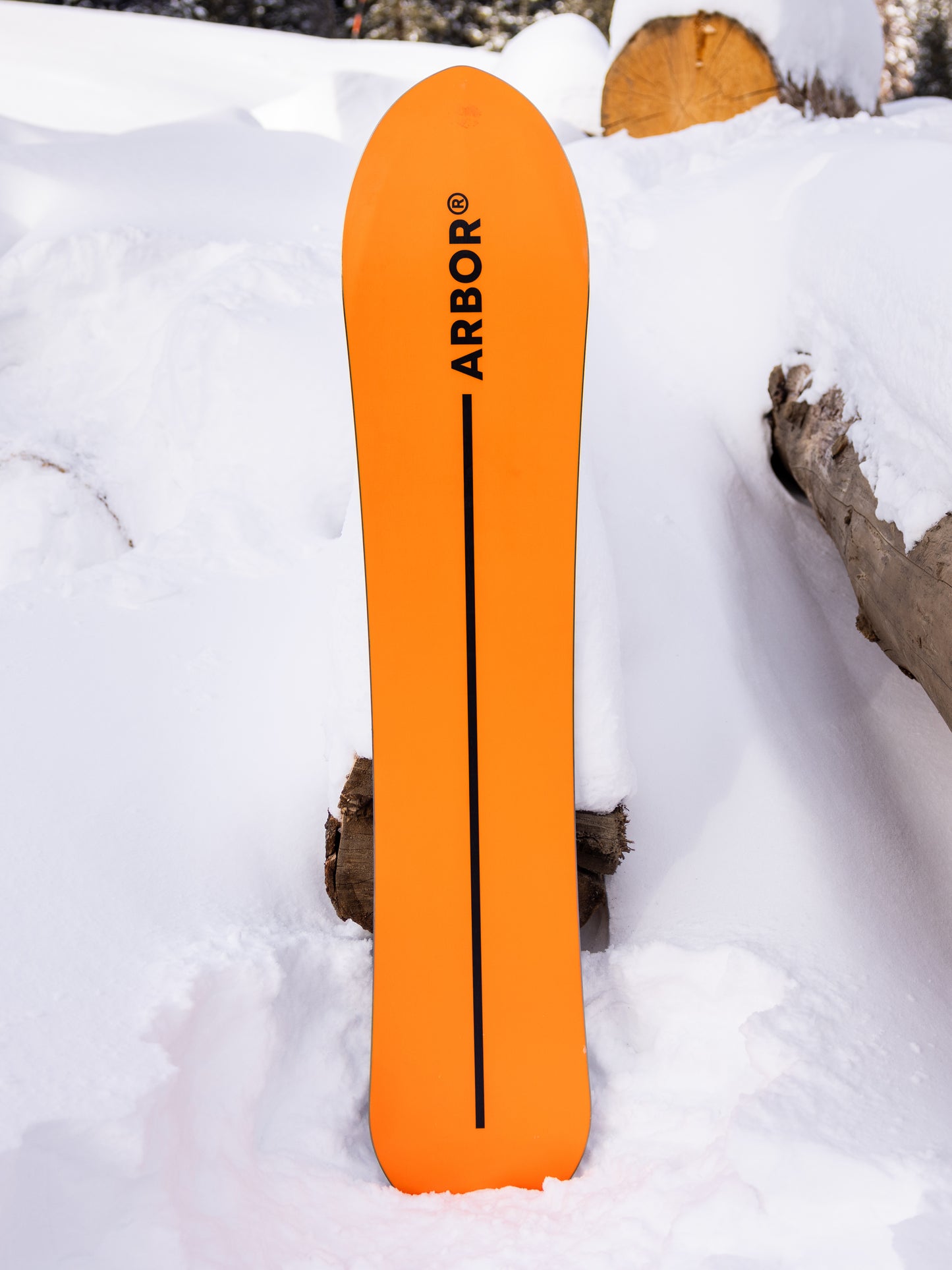 2027 Arbor Rooster Fish Snowboard