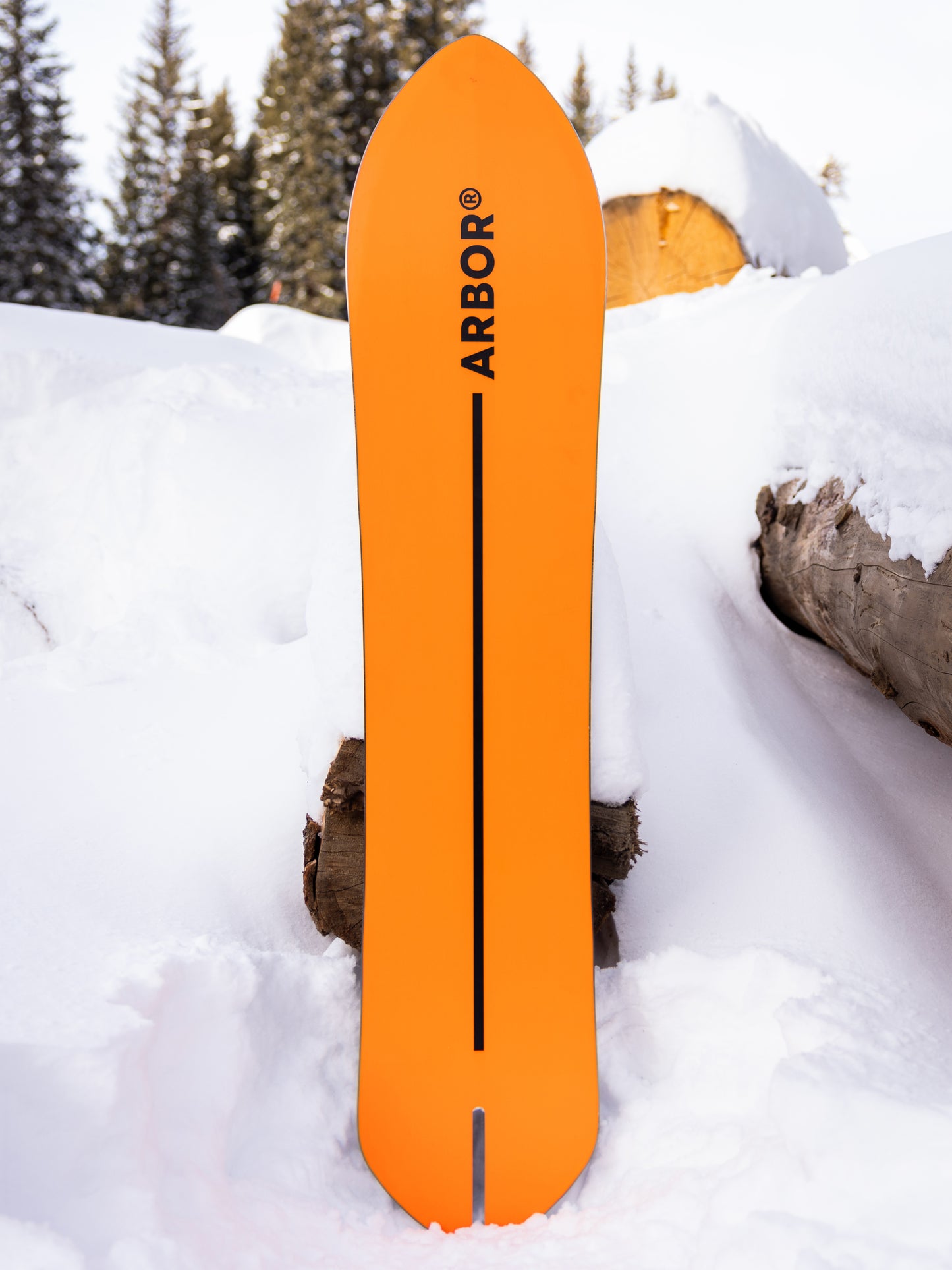 2027 Arbor Terrapin PFD Snowboard