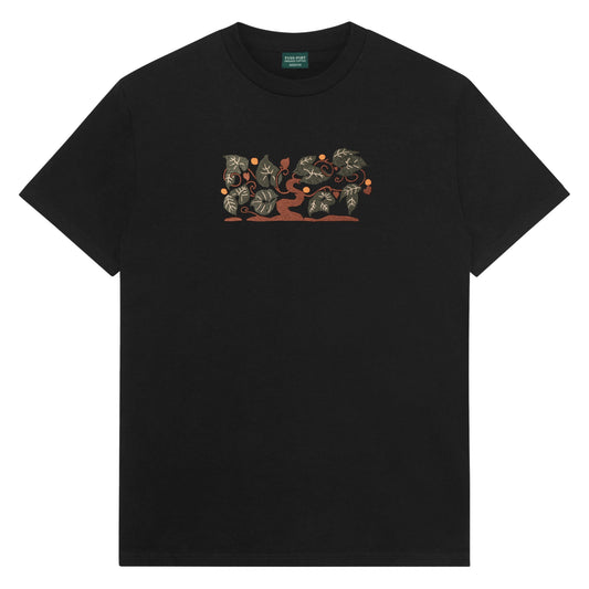 PassPort Orchard Organic Tee Range 47